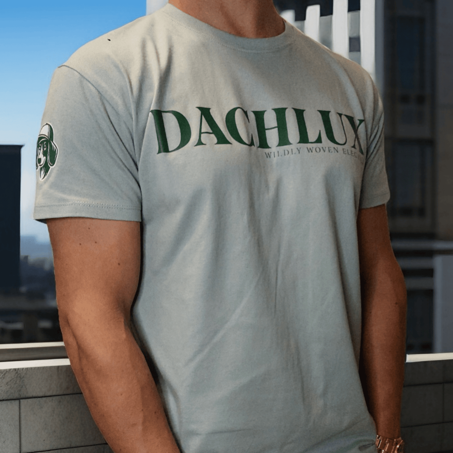 DACHLUX - GREEN SIGN - DACHLUX