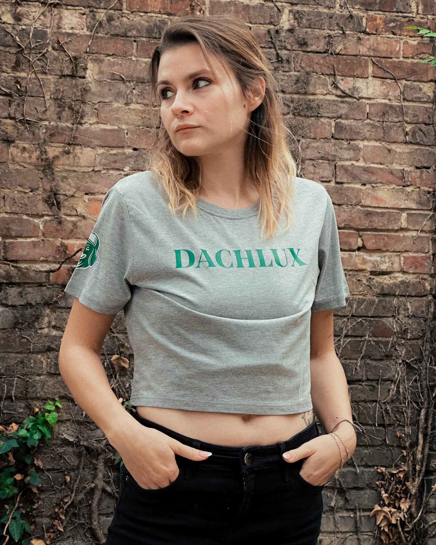 DACHLUX - GREY CROP - DACHLUX
