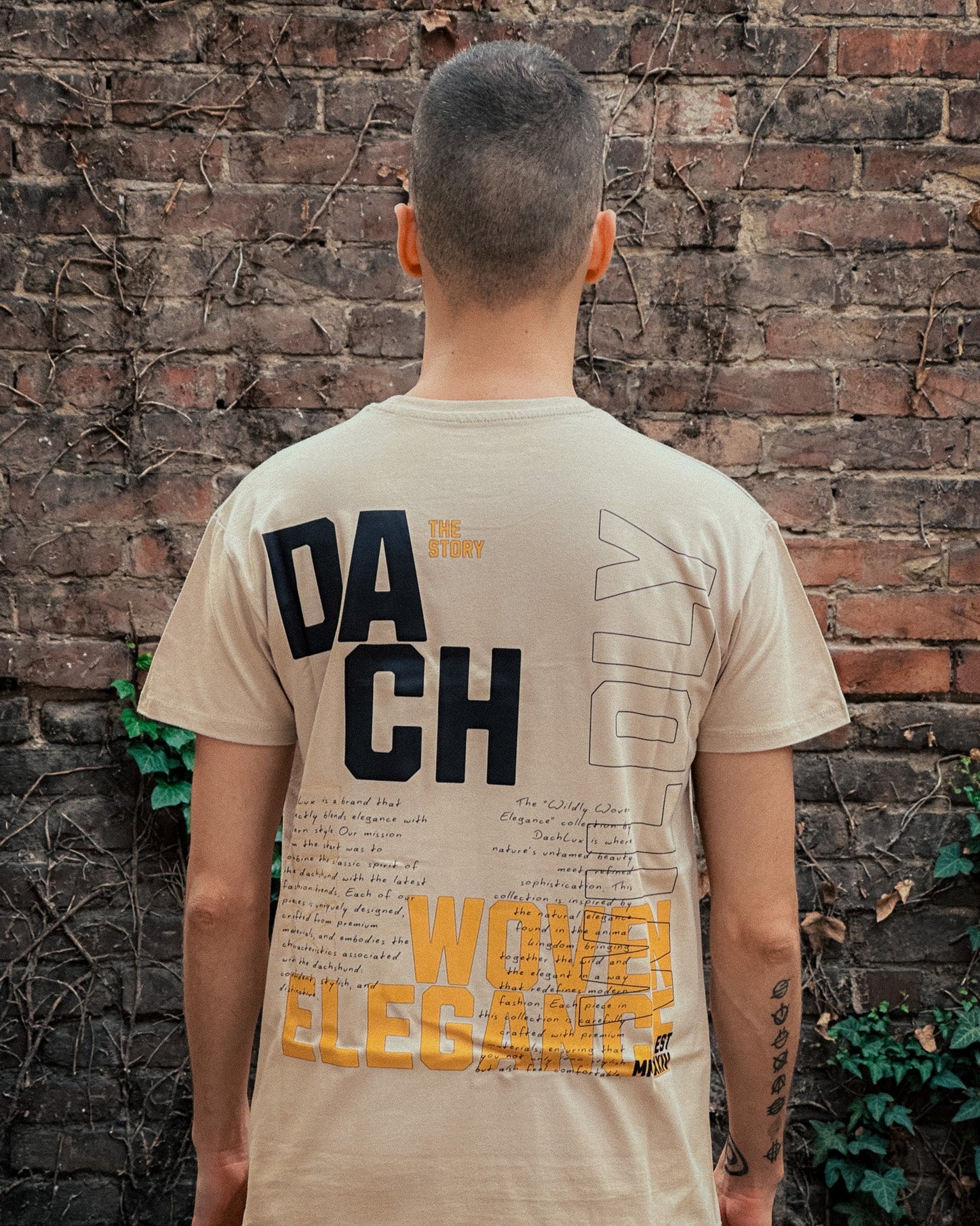 DACHLUX - THE STORY LIGHT - DACHLUX