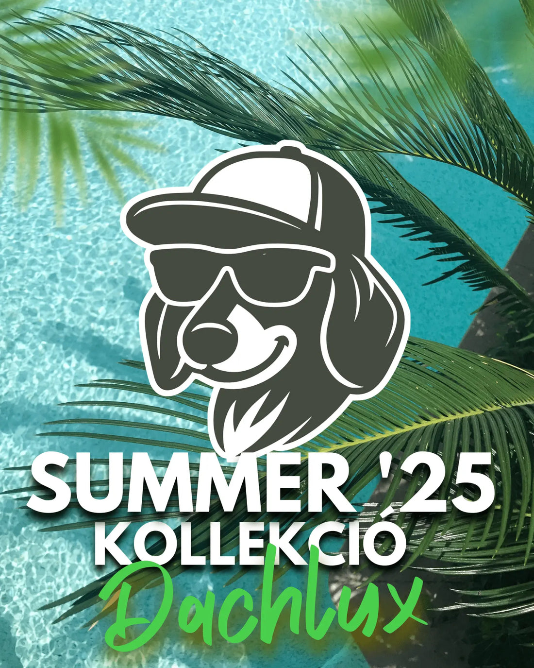 Fedezd fel a DachLux 2025-ös nyári kollekcióját! Limitált pólók új minimalista logóval, organikus pamutból, elérhető áron – csak stílusosan. - DACHLUX